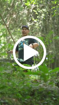 BIB:  <button type="button" onclick="openModal(27943672)" class="btn btn-primary btn-sm float-right" data-toggle="modal" data-target=".modal-high-quality">
                <i class="fa fa-download"></i> Download
                </button>